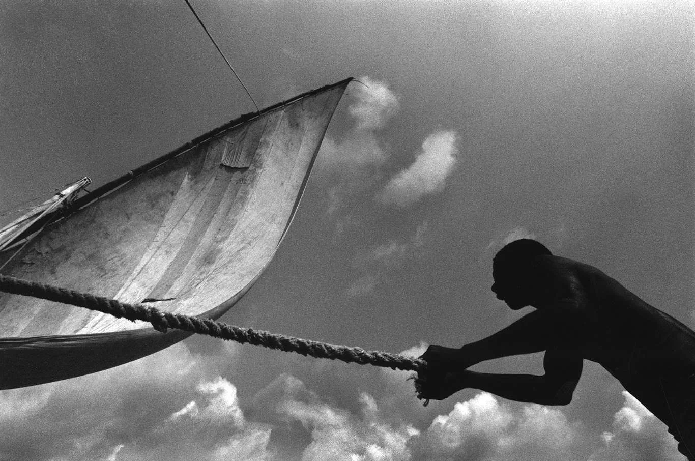 Lateen Sail. Origin; mid 16th cent.: from French (voile) Latine ‘Latin (sail),’ so named because it was common in the Mediterranean. Mombasa, Kenya. 1999