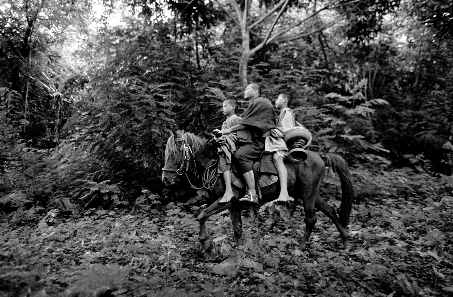 1200 Miles | Life And Death On The Thai Burma Border