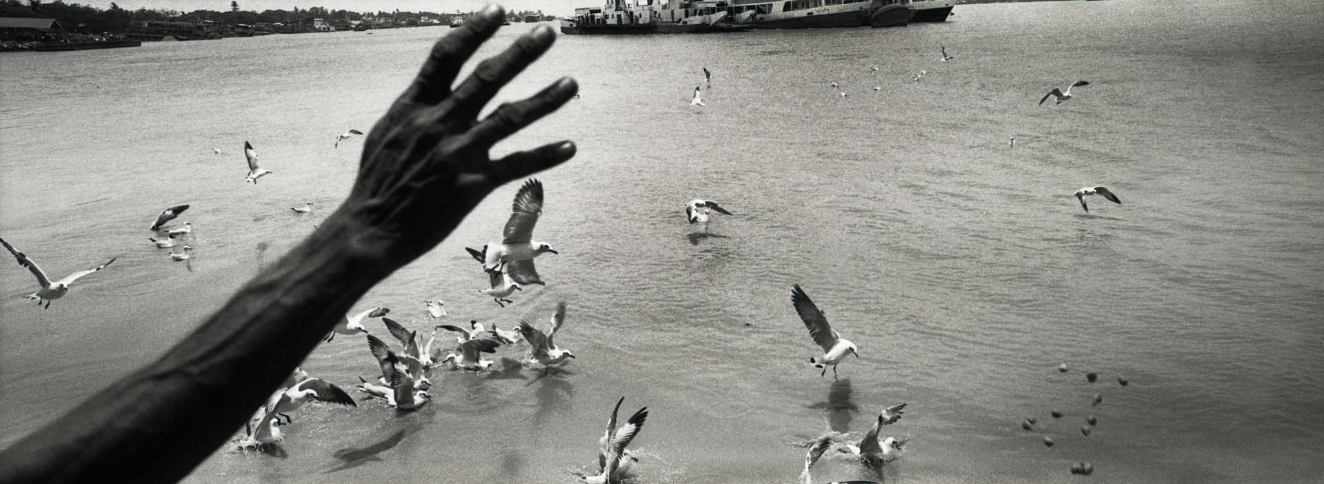  "Feeding The Gulls." Rangoon, Burma 