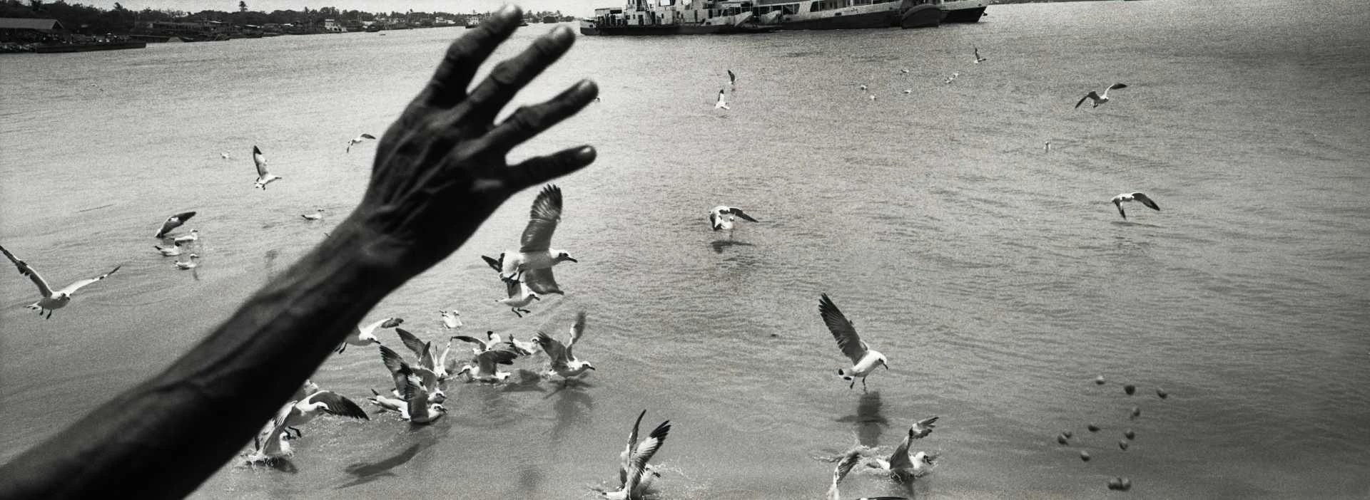"Feeding The Gulls." Rangoon, Burma