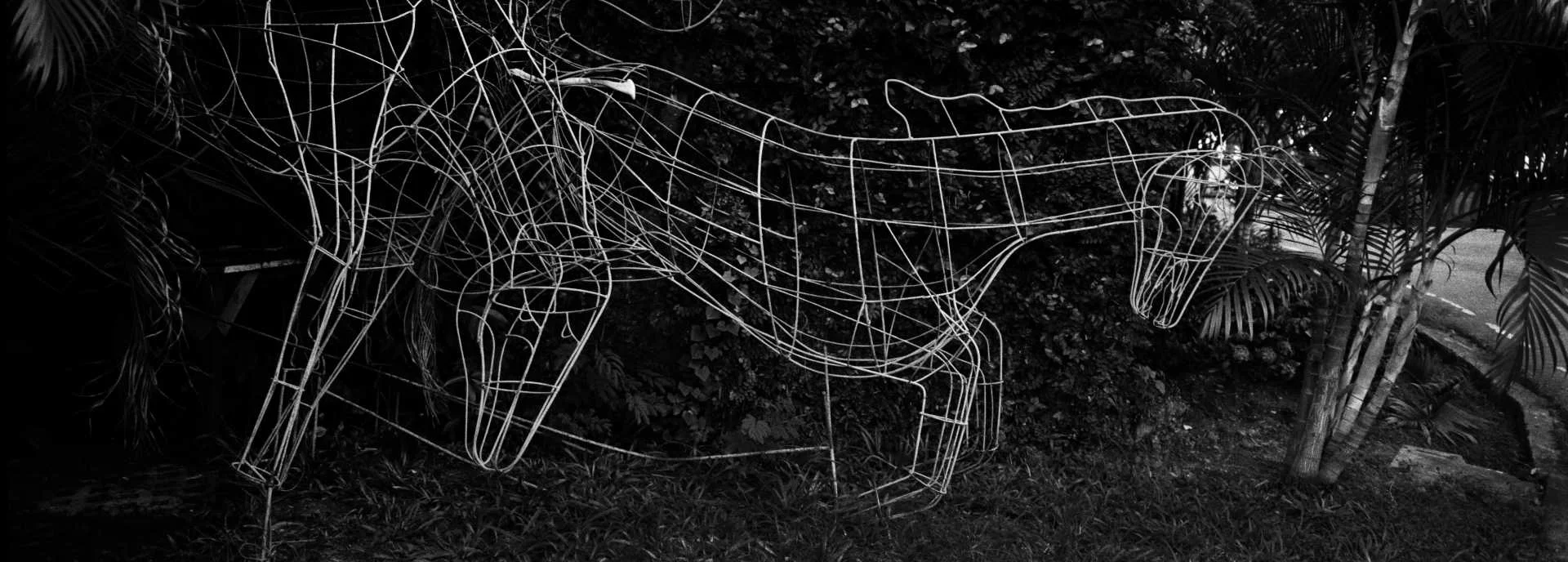 "Wire Horses" Chiang Mai, Thailand., Thailand.