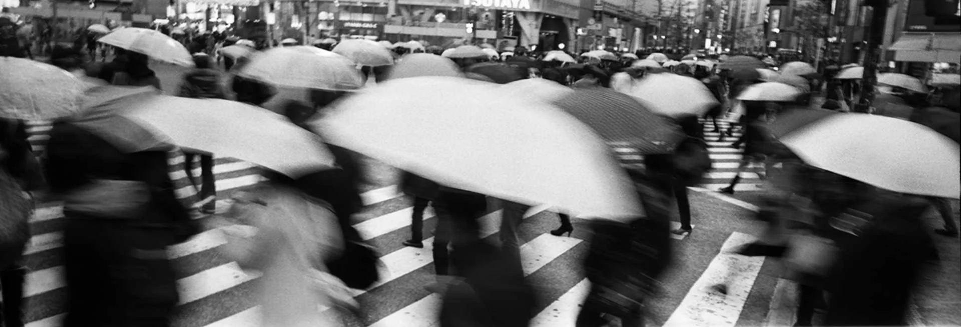 "Crossing" Shibuya, Tokyo, Japan.