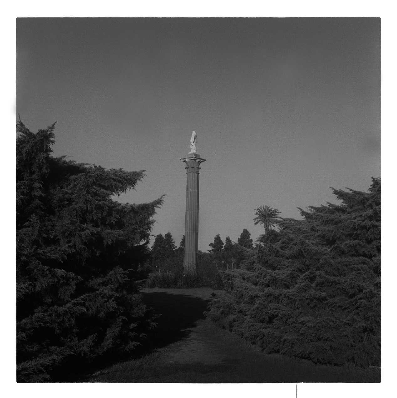  Centennial Park. Sydney, Australia. 1985 