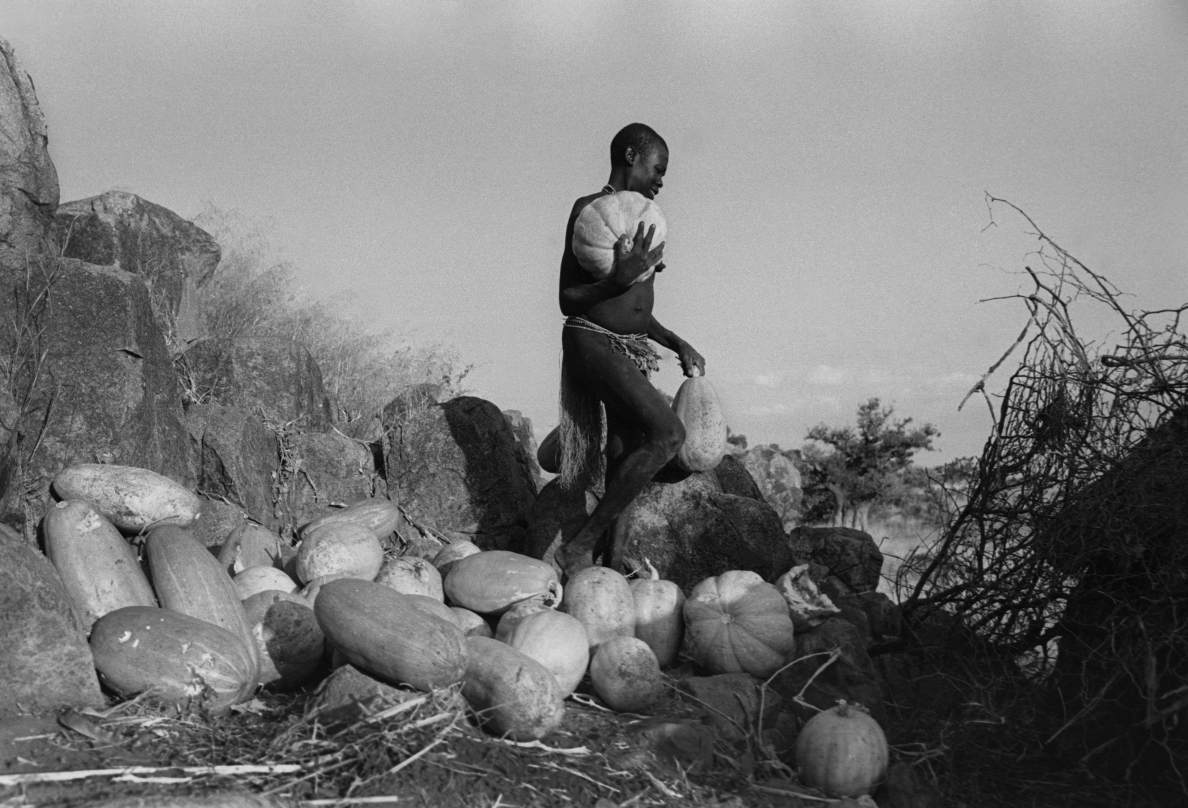 The Nuba Mountains