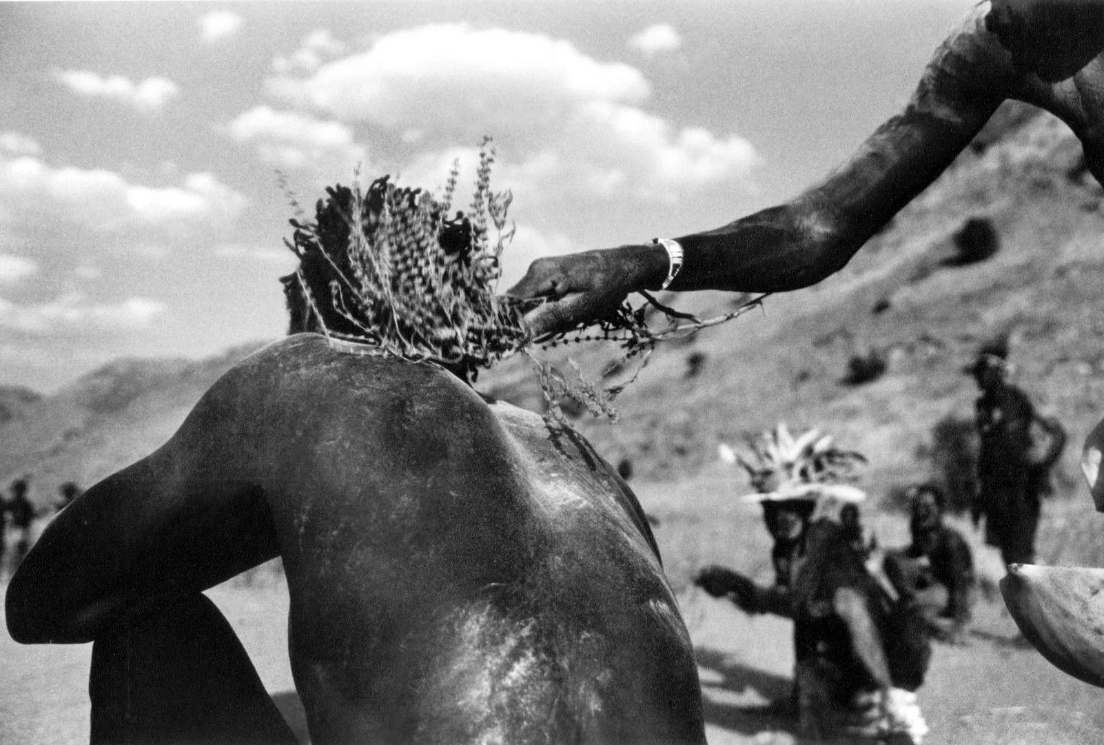 The Nuba Mountains