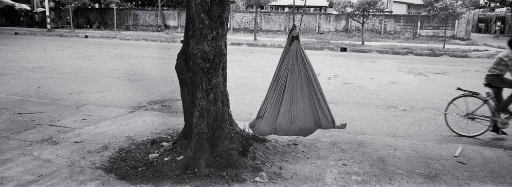  "Baby Tree." Rangoon, Burma.&nbsp; 