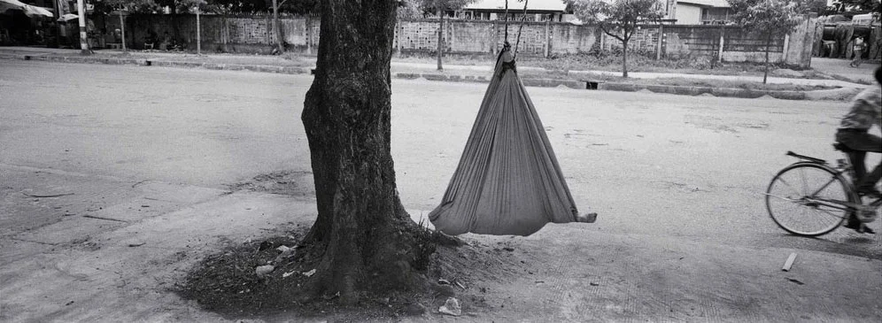"Baby Tree." Rangoon, Burma. 