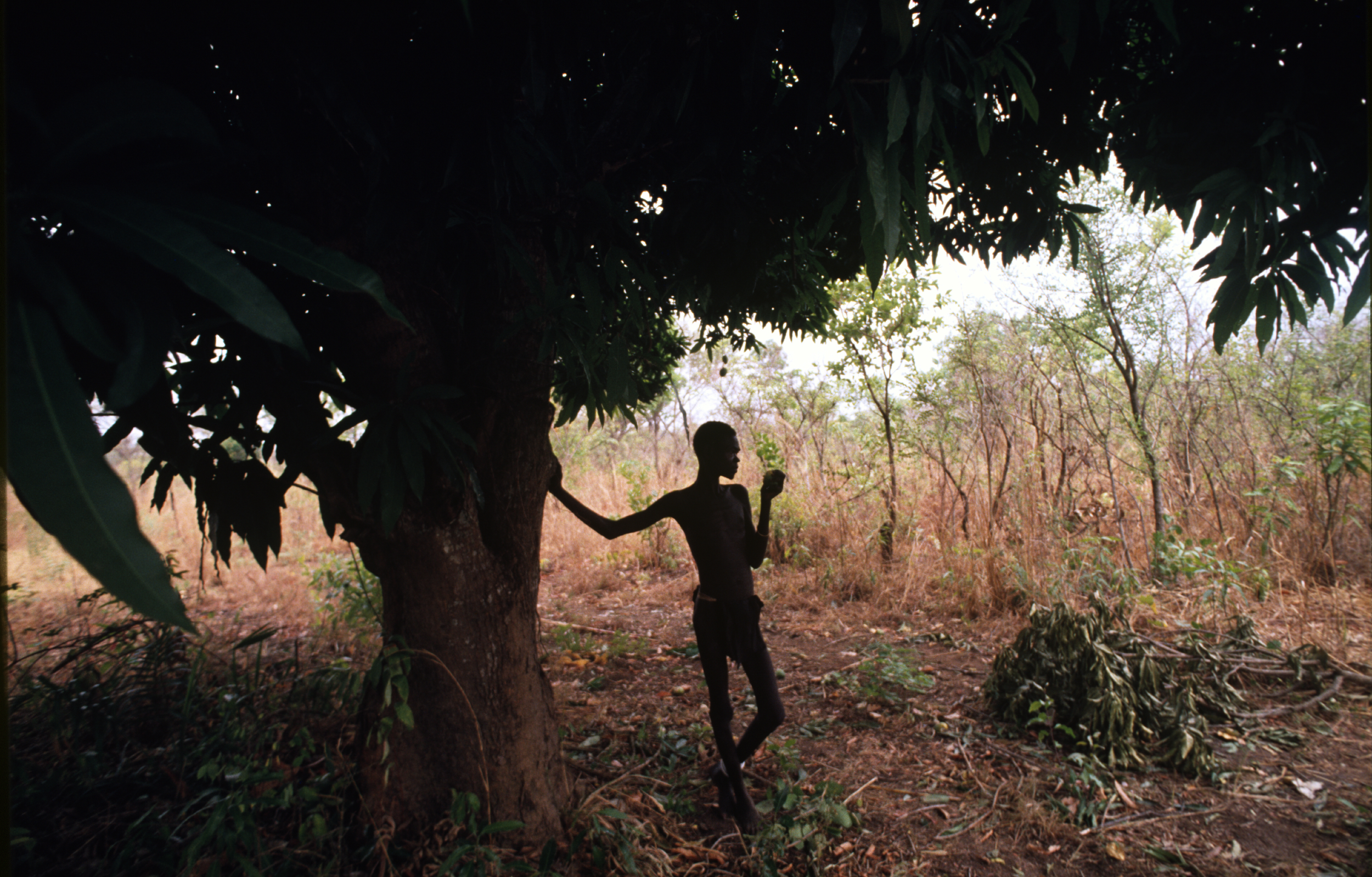  A man eats leaves from a tree during Sudan's long-running civil war. 1993 