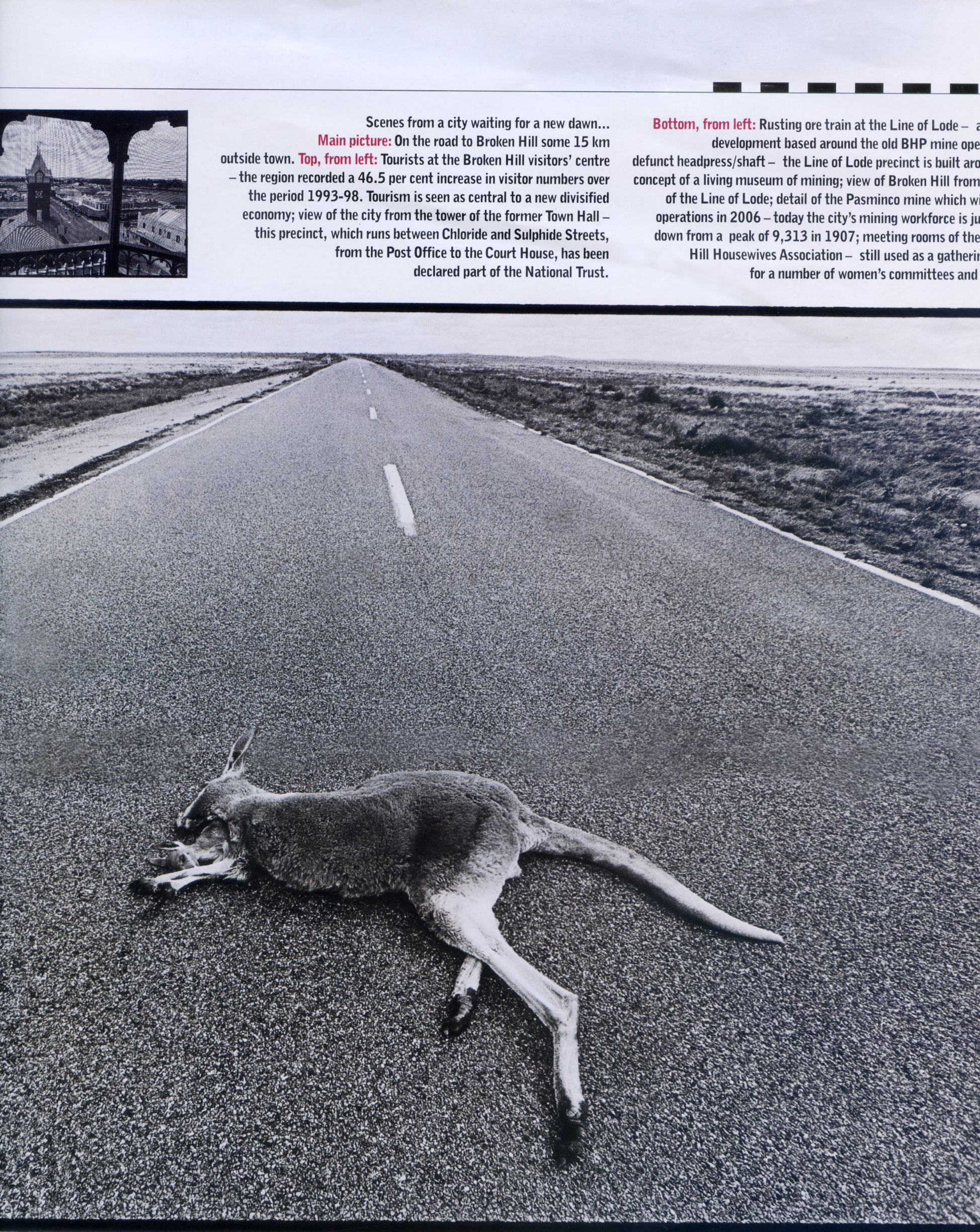 JackPicone_RoadKill_OZ_1.jpg