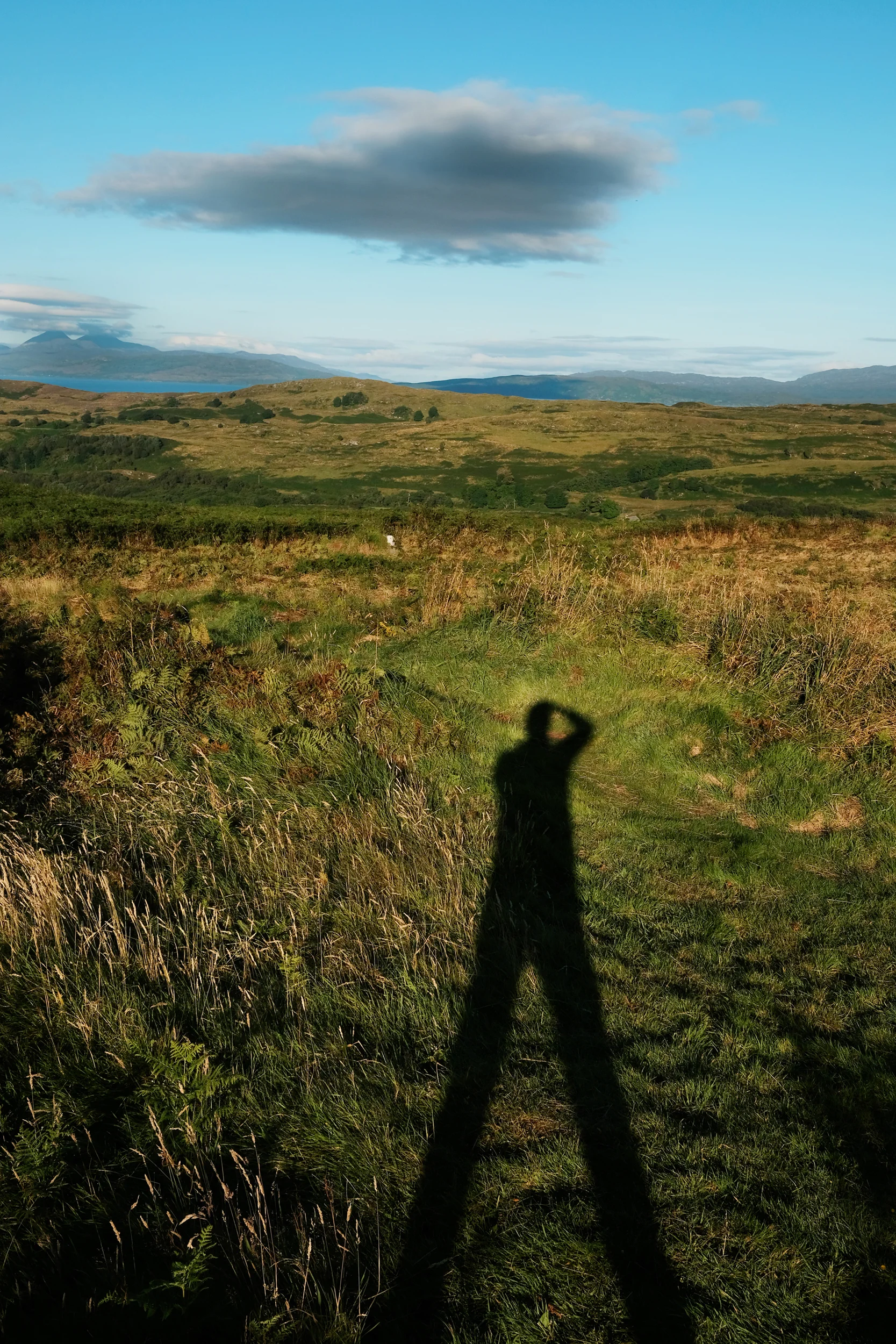 Taynish National Nature Reserve, Argyll and Bute, Lochgilphead.