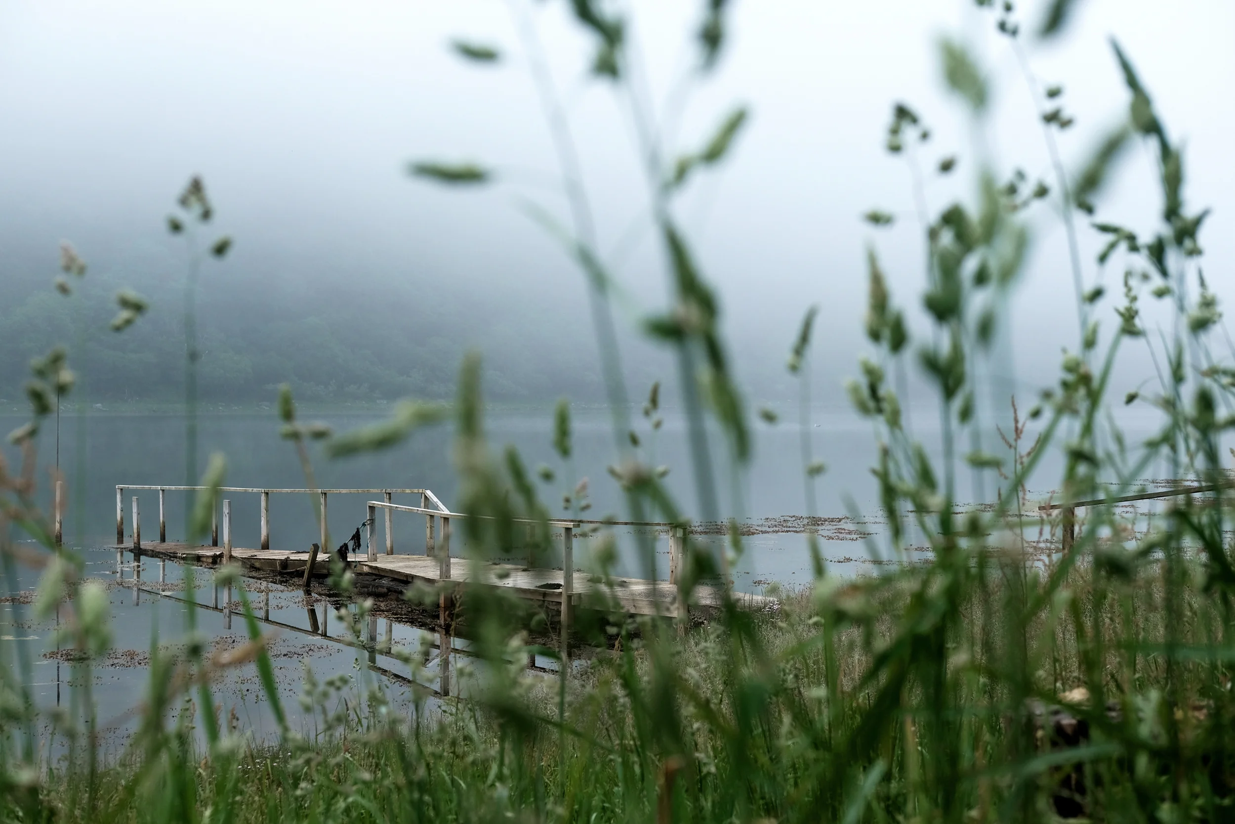 Mist on the water, Loch Linne Mhuirich, Tayvallich, West Scotland.