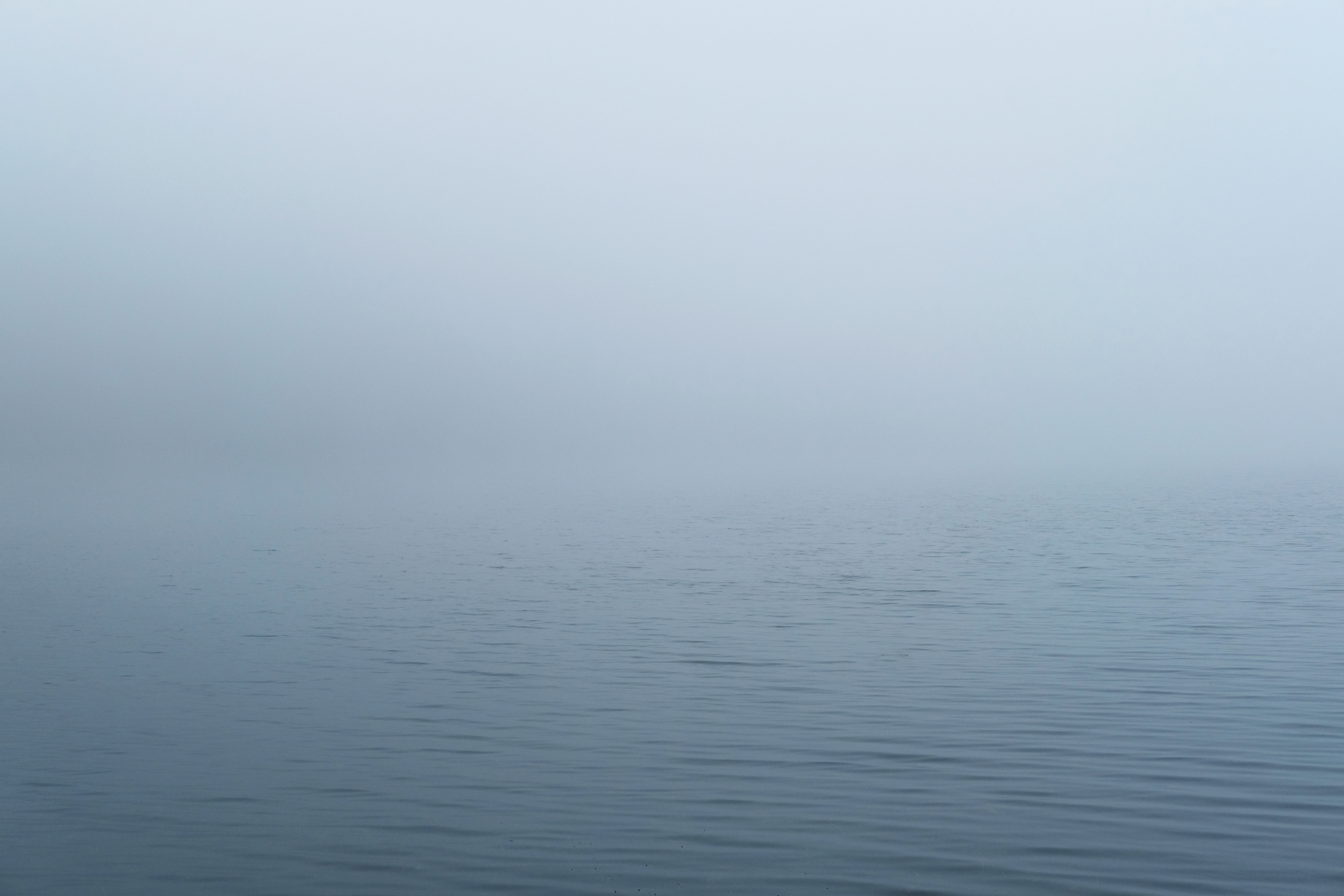  Mist on the water, Loch Linne Mhuirich, Tayvallich, West Scotland. 