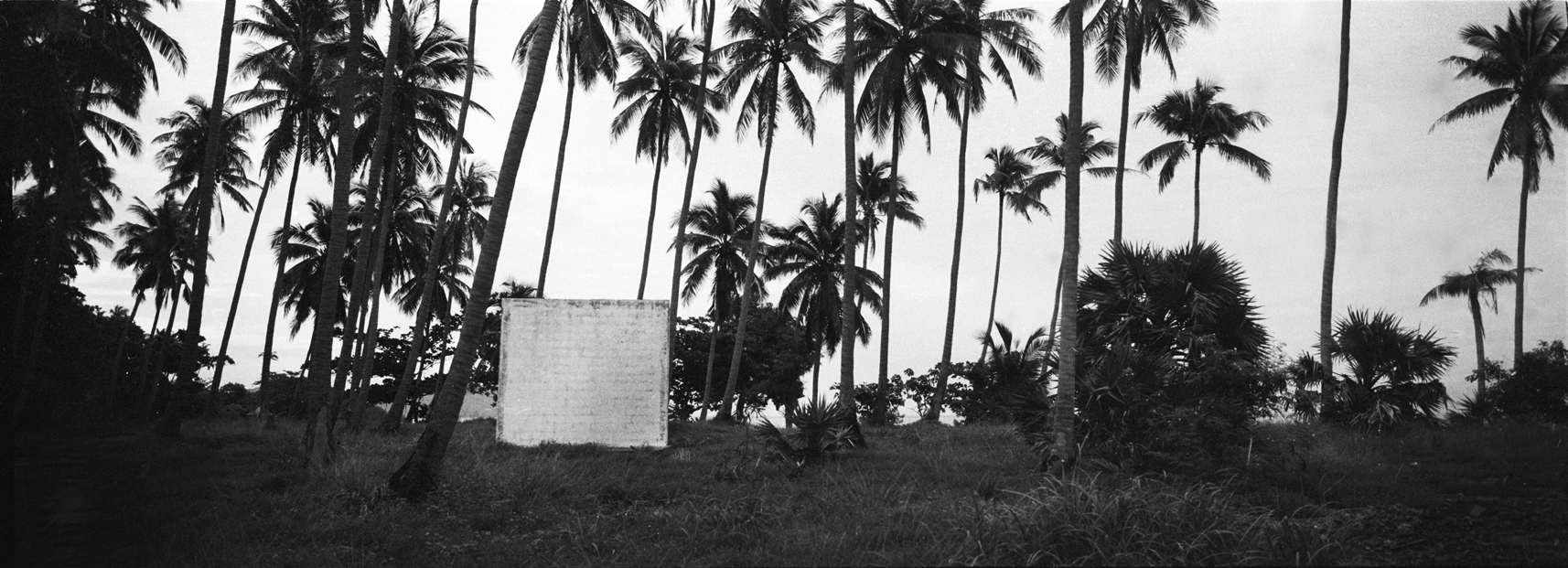  Monolith and palm trees. Phuket, Thailand 2106. 