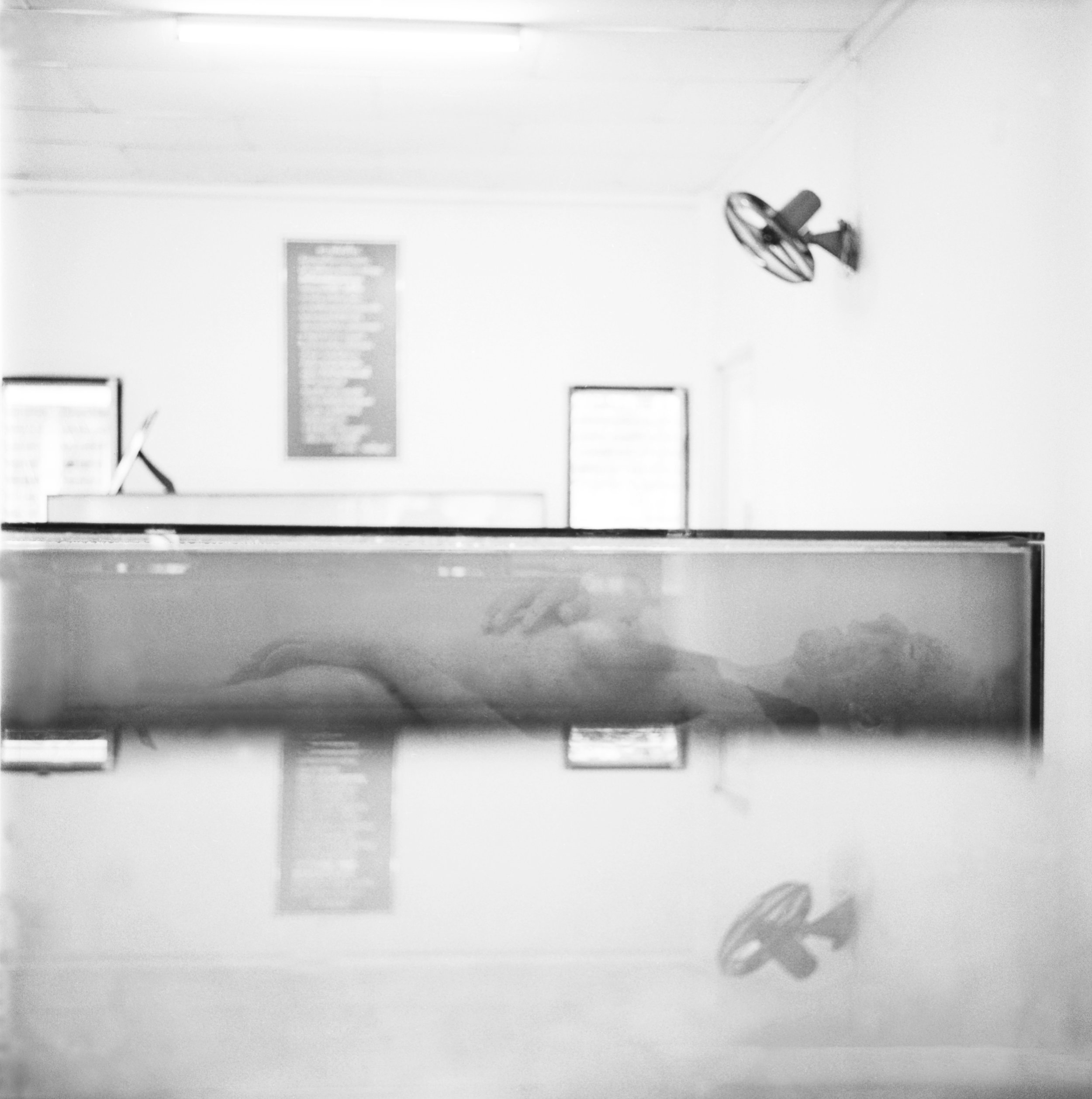  ‘Under Glass.’ A deceased woman is exhibited at an AIDS museum in Lopburi, Thailand. 2003 