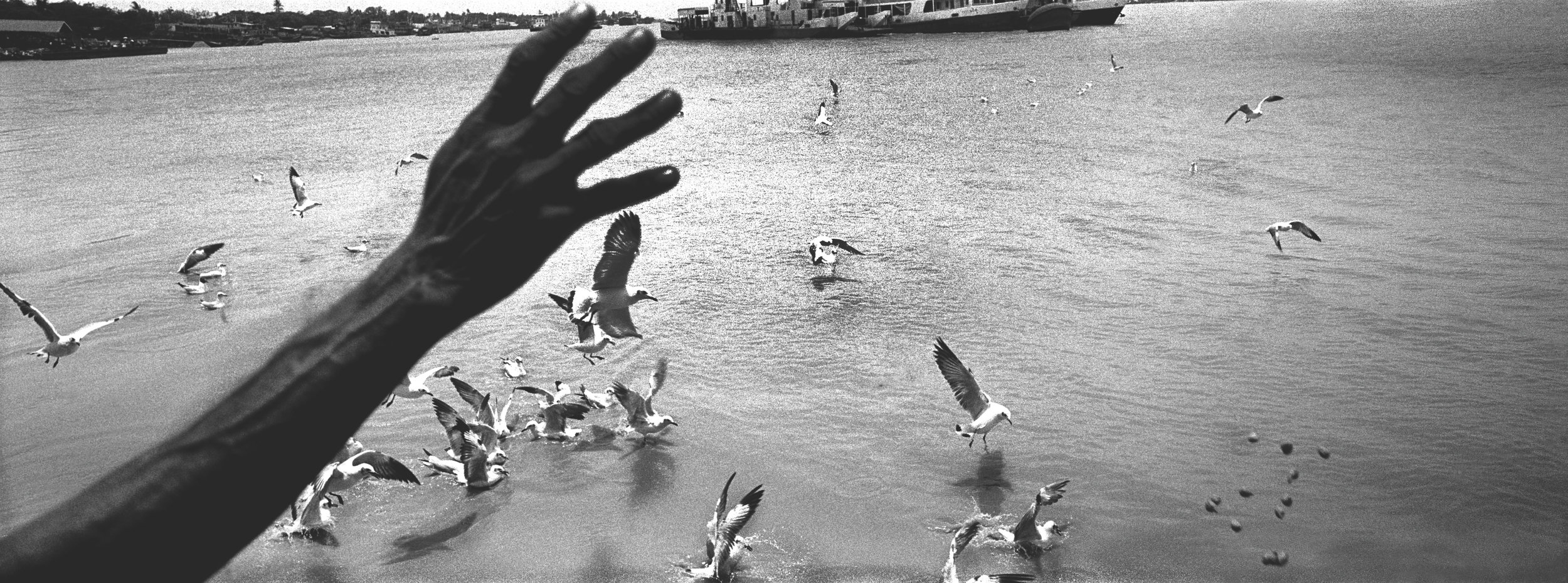  Feeding the gulls while riding the cross-river ferry. Rangoon, Burma. 2014 
