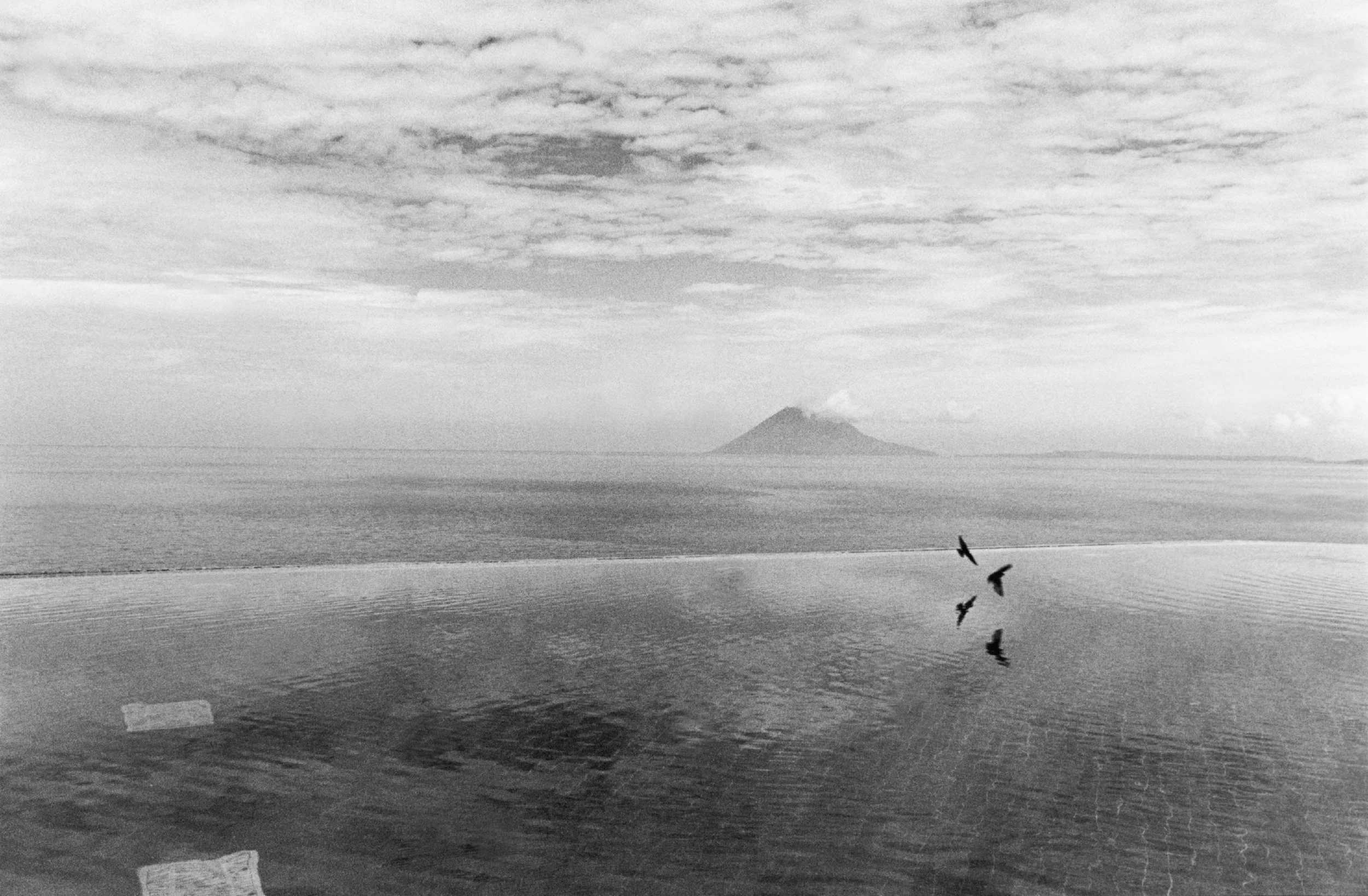  Swallows, Mandao Bay, Sulawesi. 2002 