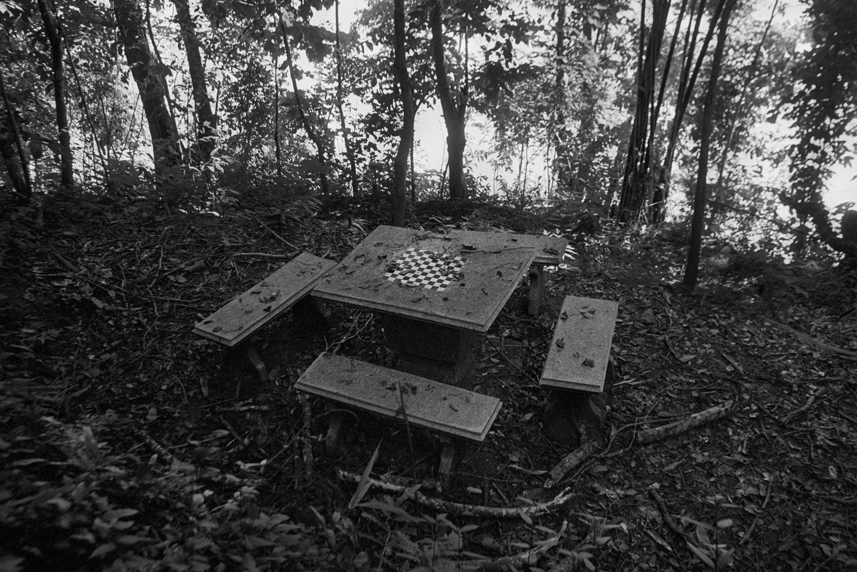  Chessboard in the forest. Luang Prabang, Laos. 2001 