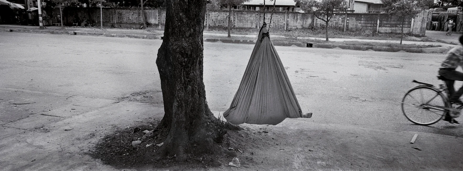 “Baby Tree.” Rangoon, Burma. 2014