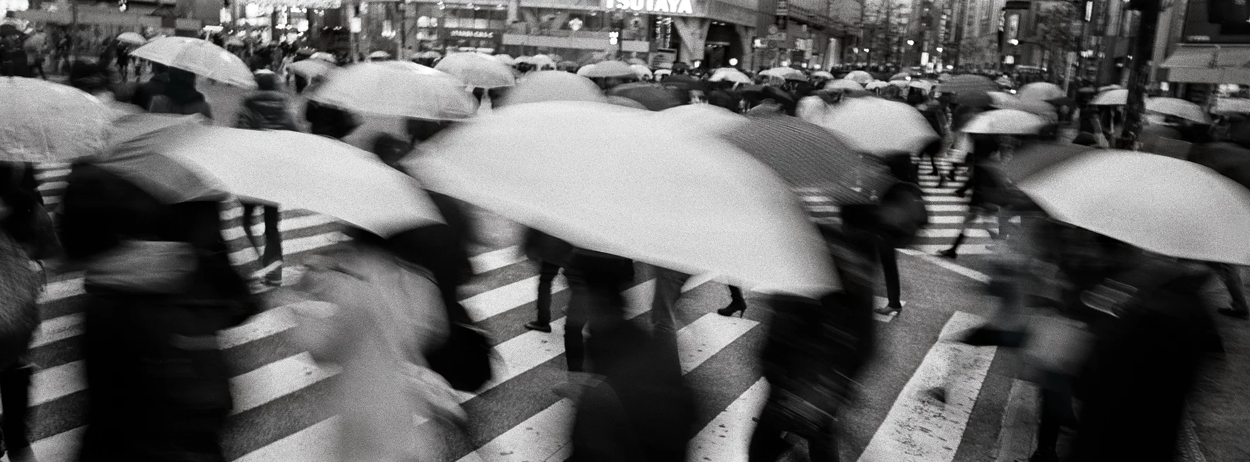 "Crossing." Shibuya, Tokyo, Japan.