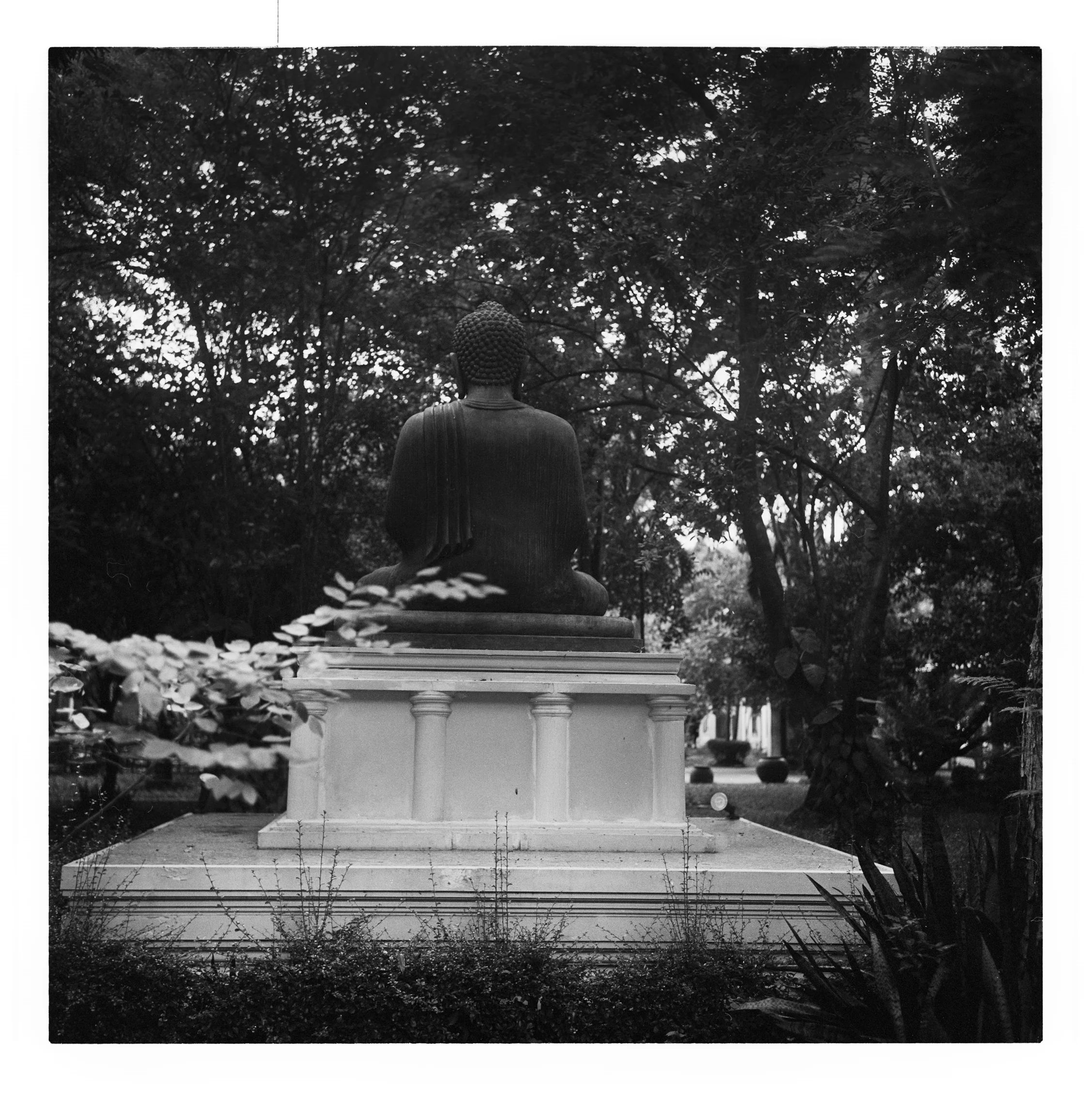 “Buddha” Mahidol University, Bangkok, Thailand. 2016