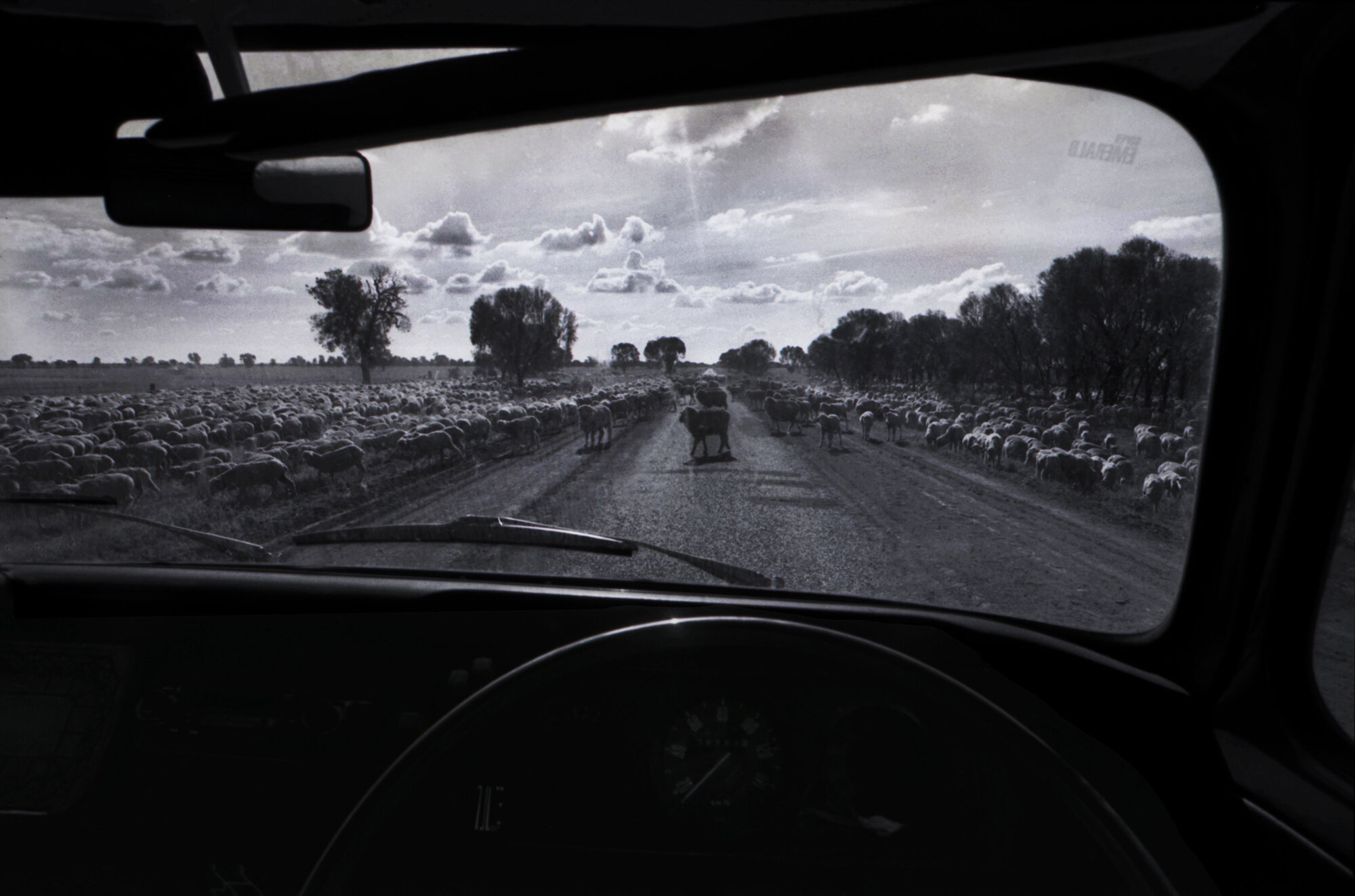  Colloquially know as the ‘longest paddock’. During drought times in outback Australia, sheep are driven onto the verges of inland highways so they can feed on the remaing available grass. Outback NSW, Australia. 1995 