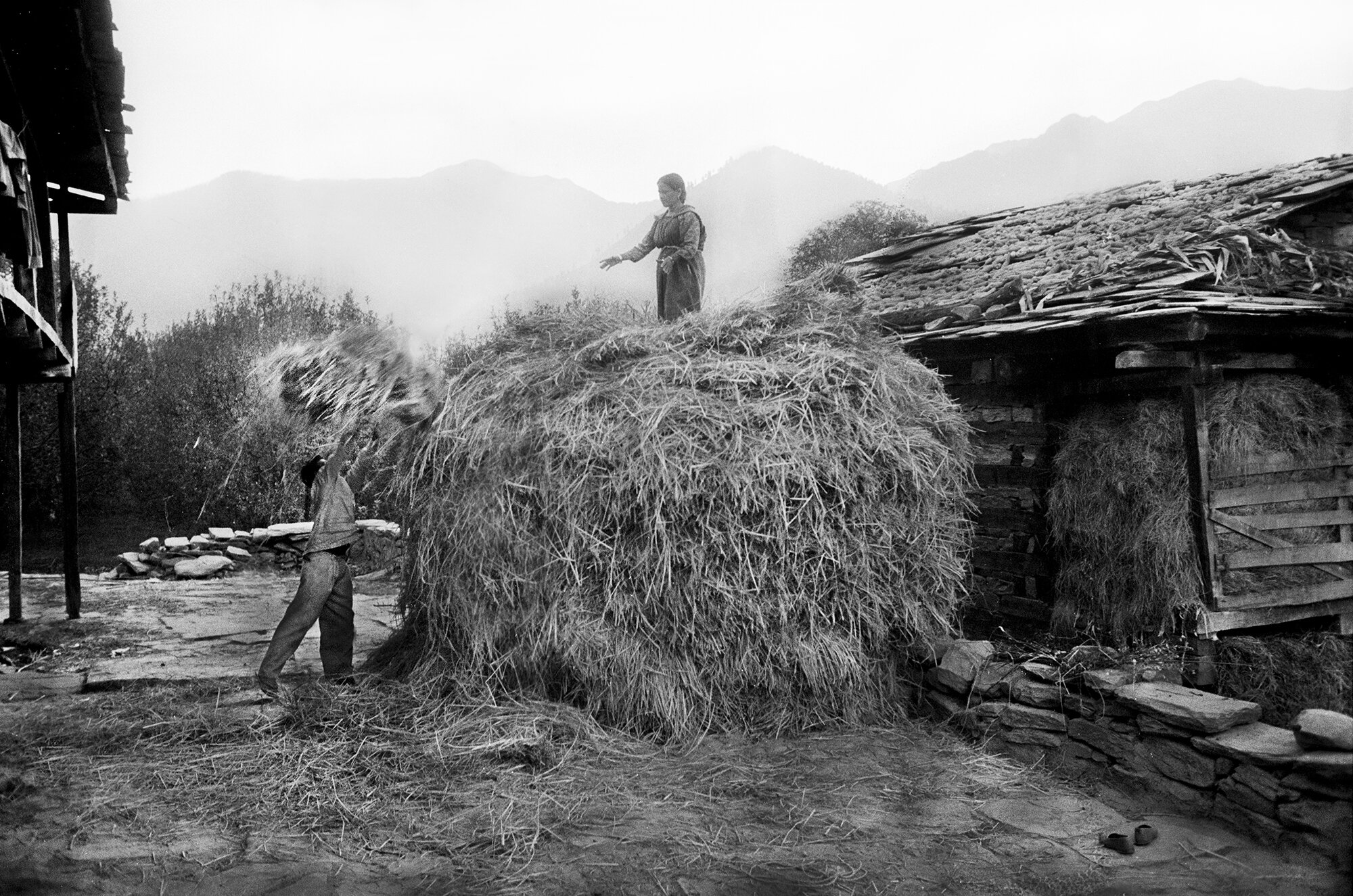   “Stacking Hay” somewhere in Kullu, Bihar, Himachal Pradesh, India. 1999 