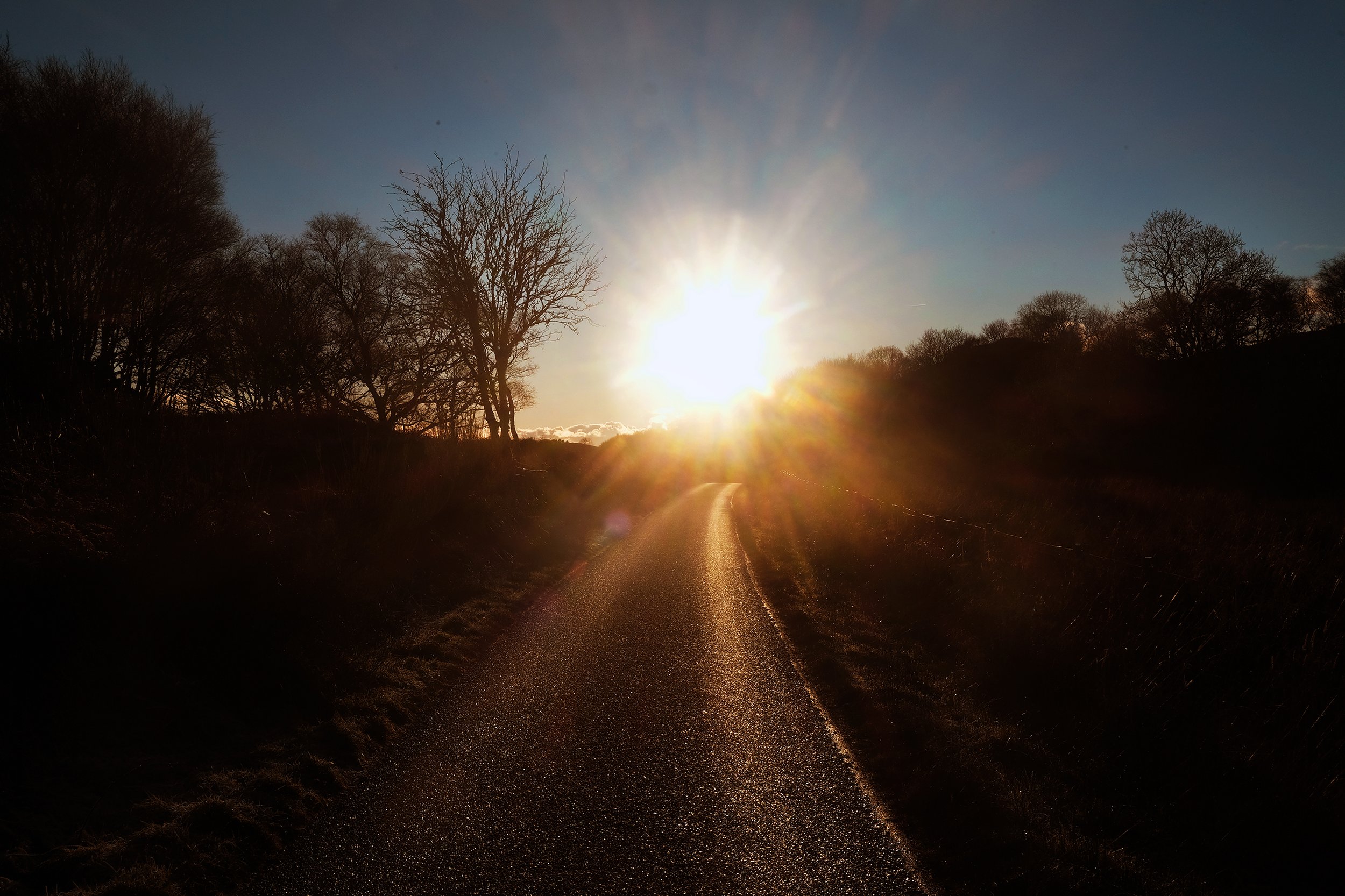  ‘Low Winter Sun’ along the B8025. Argyll and Bute, Scotland. 