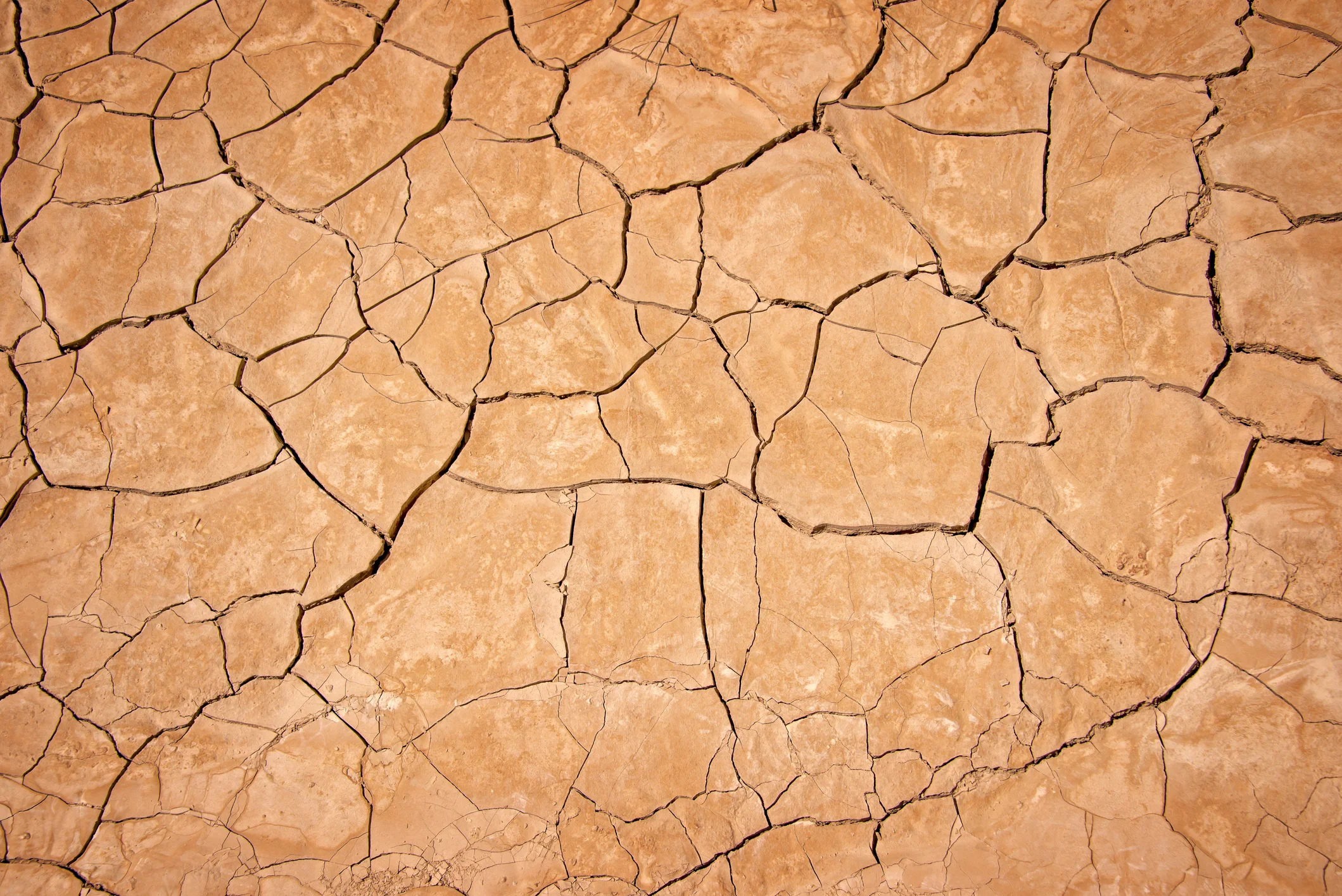 Depression is like dried mud: your vitality has been buried. You can feel deadened.