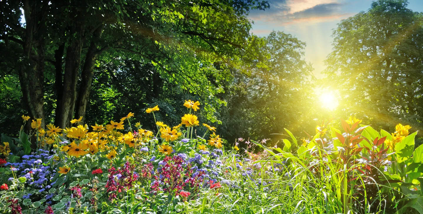 Spring returns