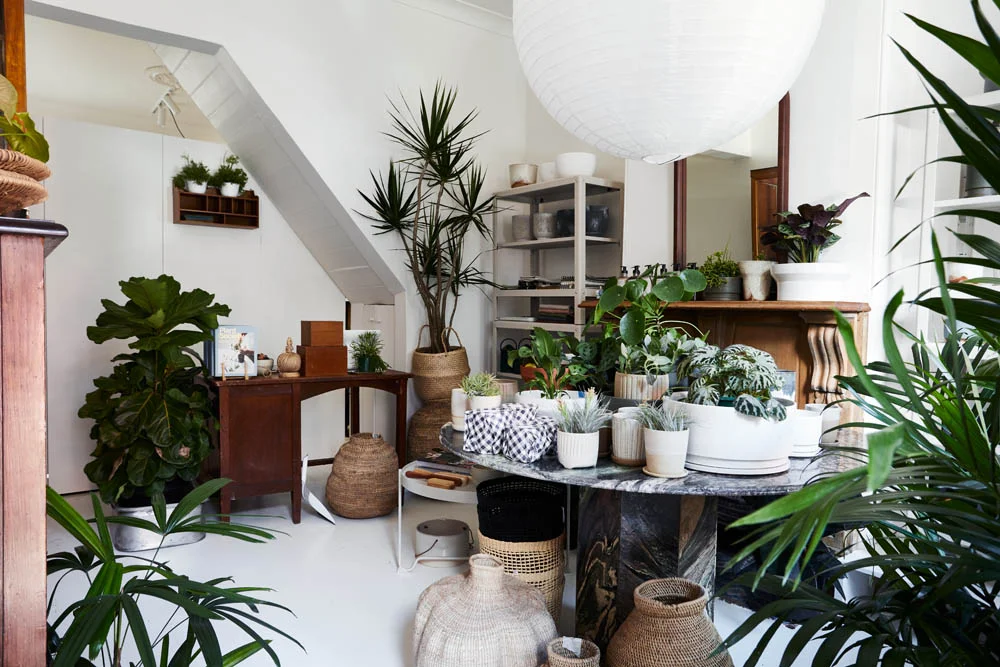 The Plant Society all things green