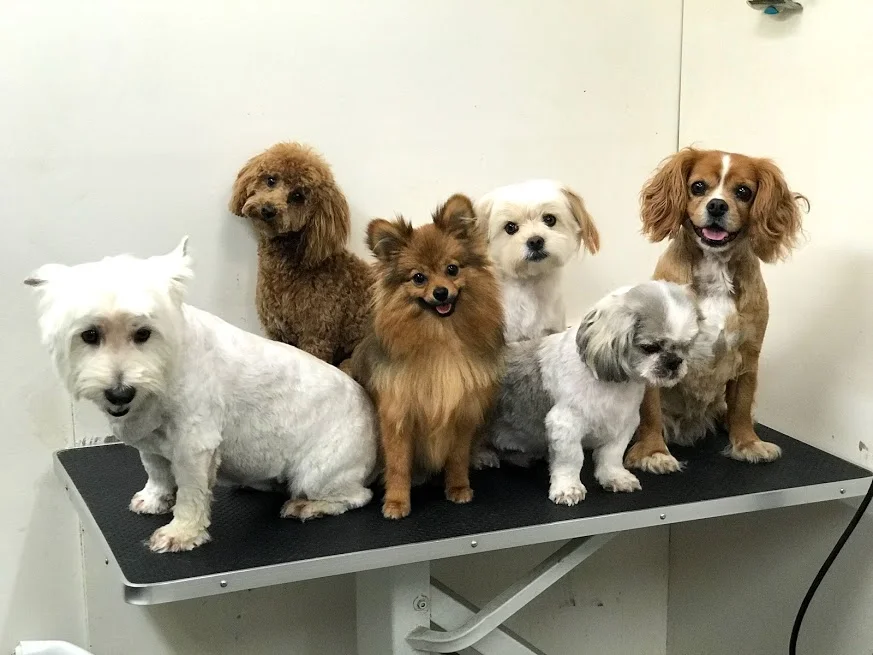 all together now.jpg