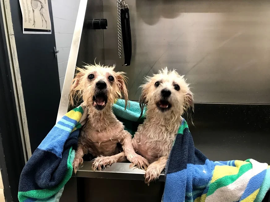bath time.jpg