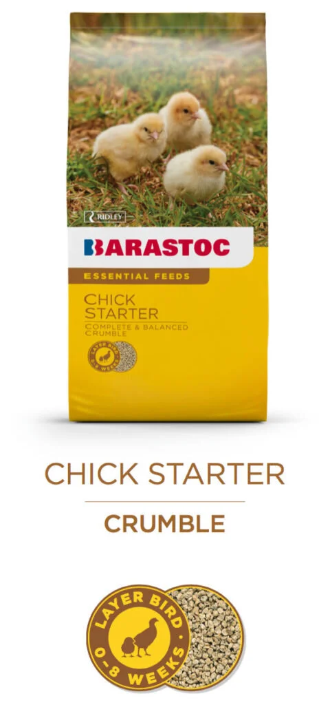 chick-starter-essentials-480x1024.jpg