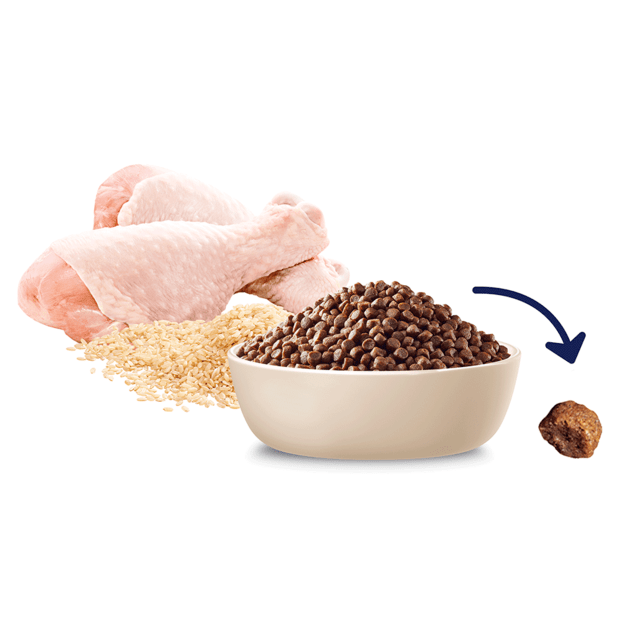 advance-small-puppy-rehydratable-dry-dog-food-chicken-with-rice___2.png