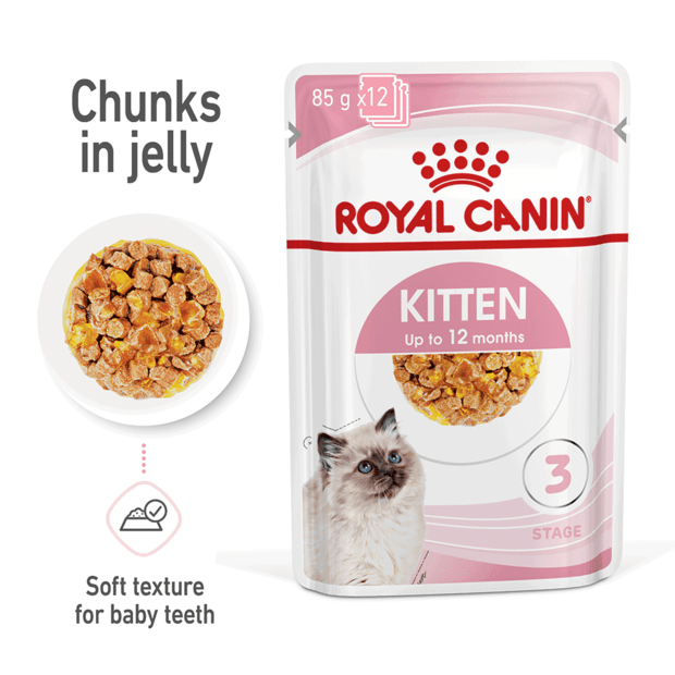 royal-canin-kitten-instinctive-jelly-wet-cat-food-pouches.png