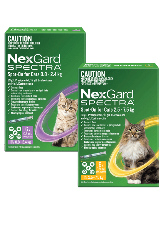 Nexgard Spectra Tick Flea And Worming Treatment Nexgard Spectra