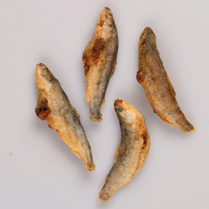 Black-Hawk-Freeze-Dried-Dog-Treats-Salmon-40g_-Kellyville-Pets-283376418.webp