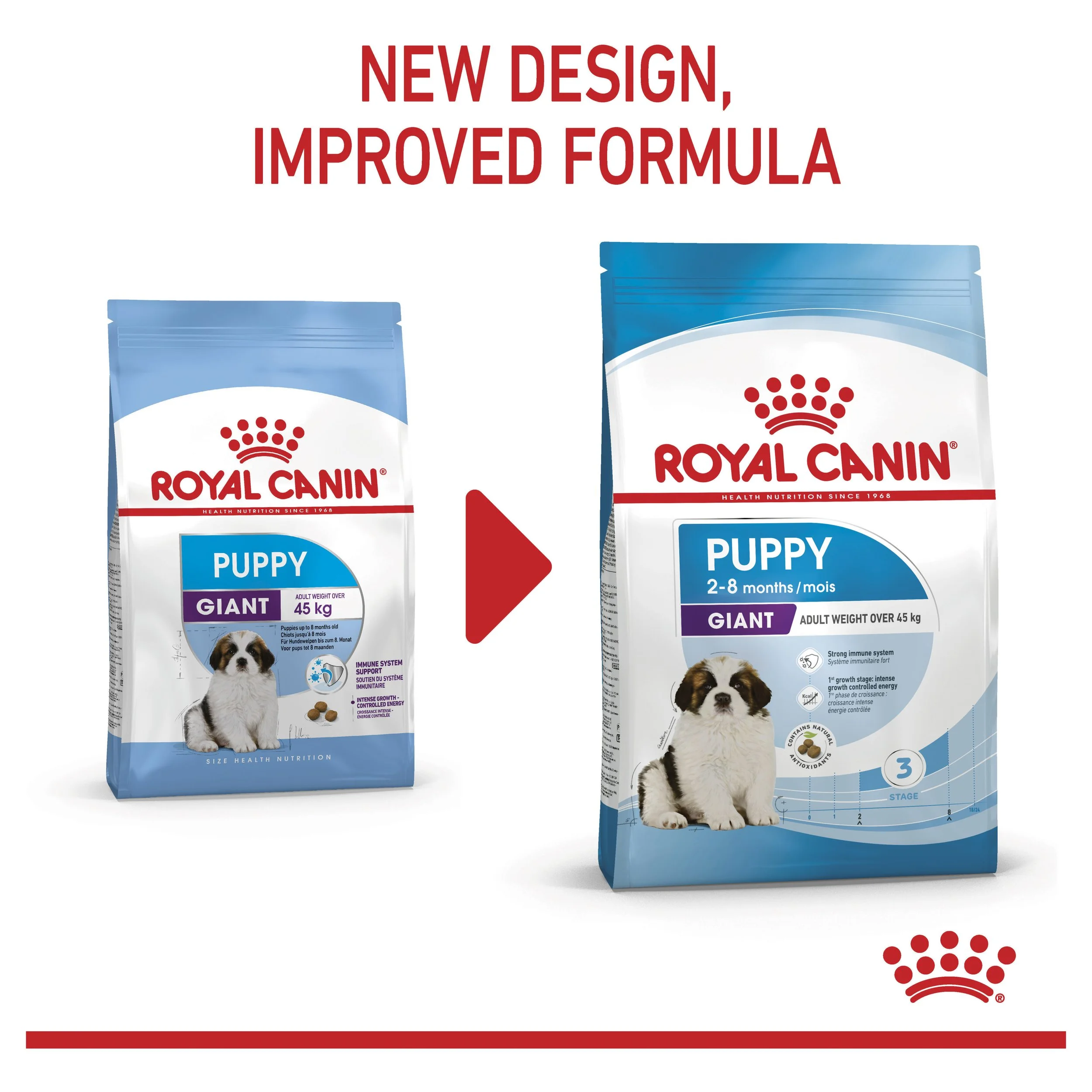 ROYAL CANIN® Giant Puppy-70.jpg
