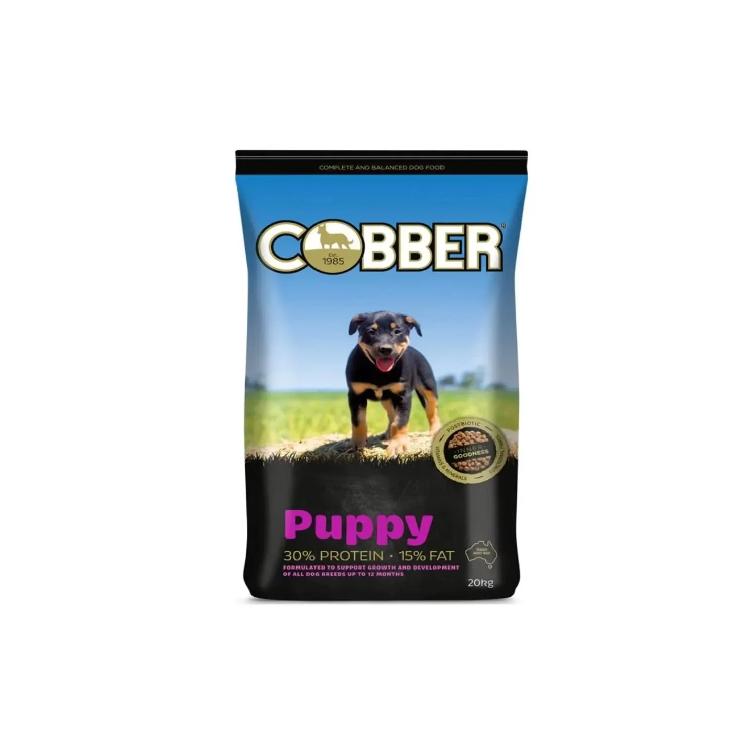 cobber puppy.jpg