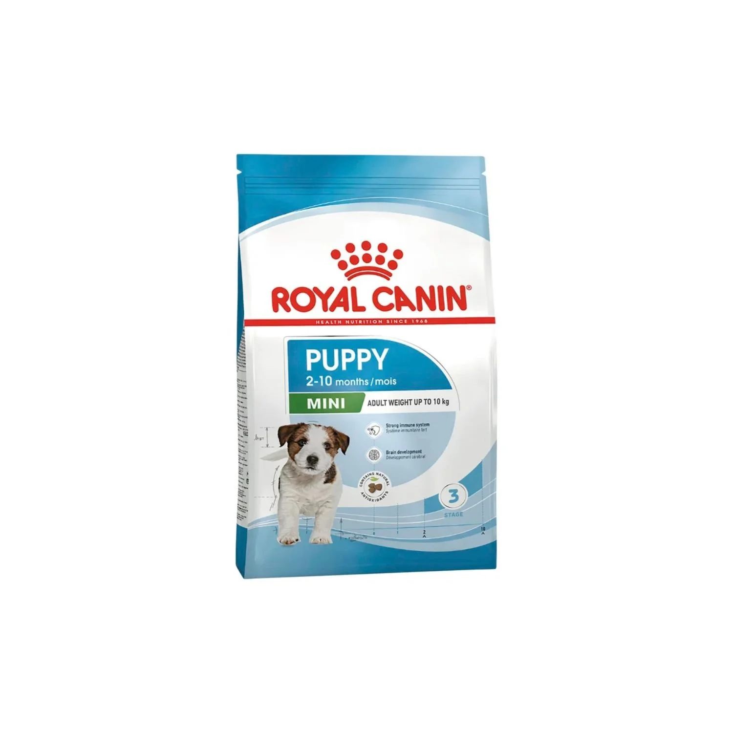 rc pup mini.jpg