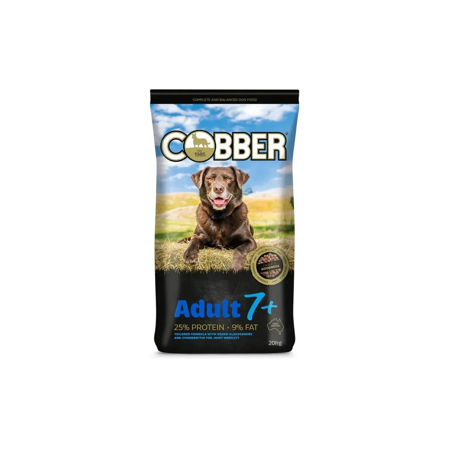 cobber senior.jpg