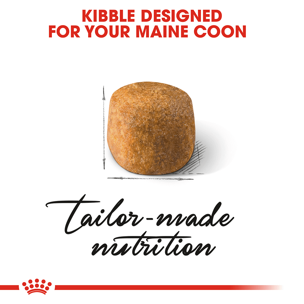 royal-canin-maine-coon-adult-dry-cat-food___2.png