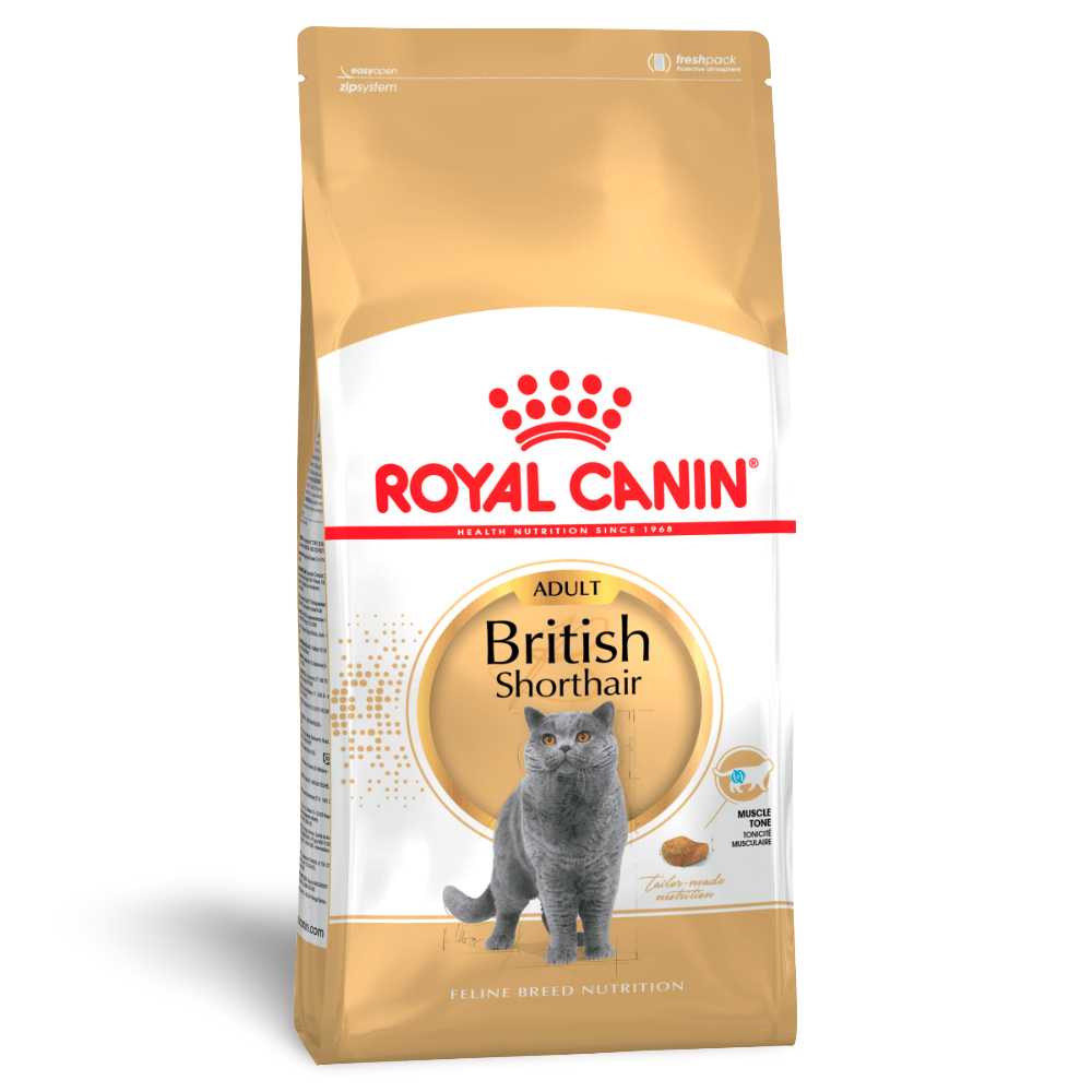 royal-canin-british-shorthair-adult-dry-cat-food.png