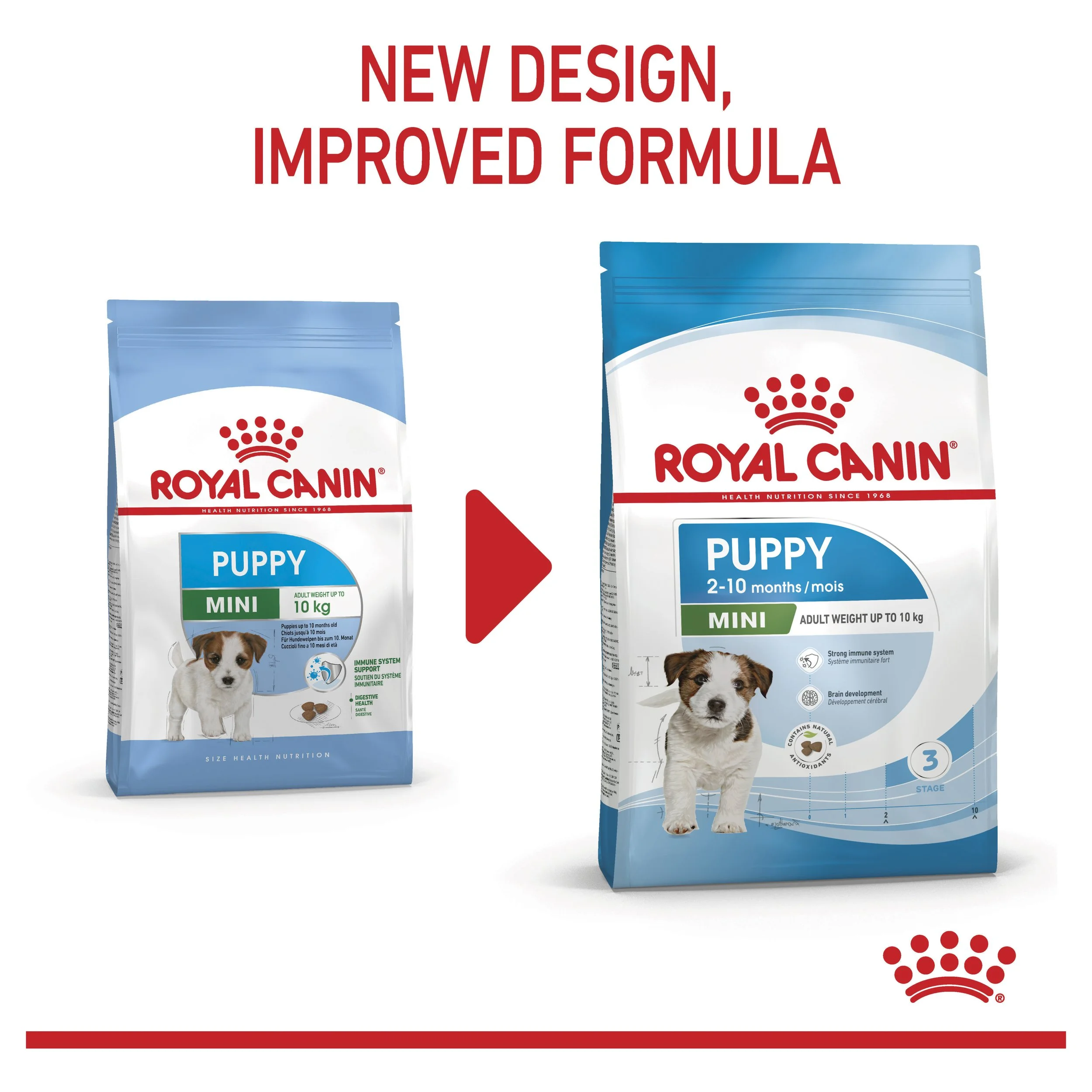 ROYAL CANIN® Mini Puppy-70.jpg