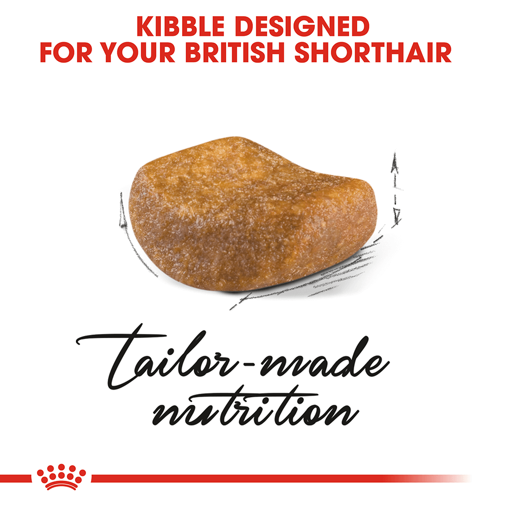 royal-canin-british-shorthair-adult-dry-cat-food___3.png