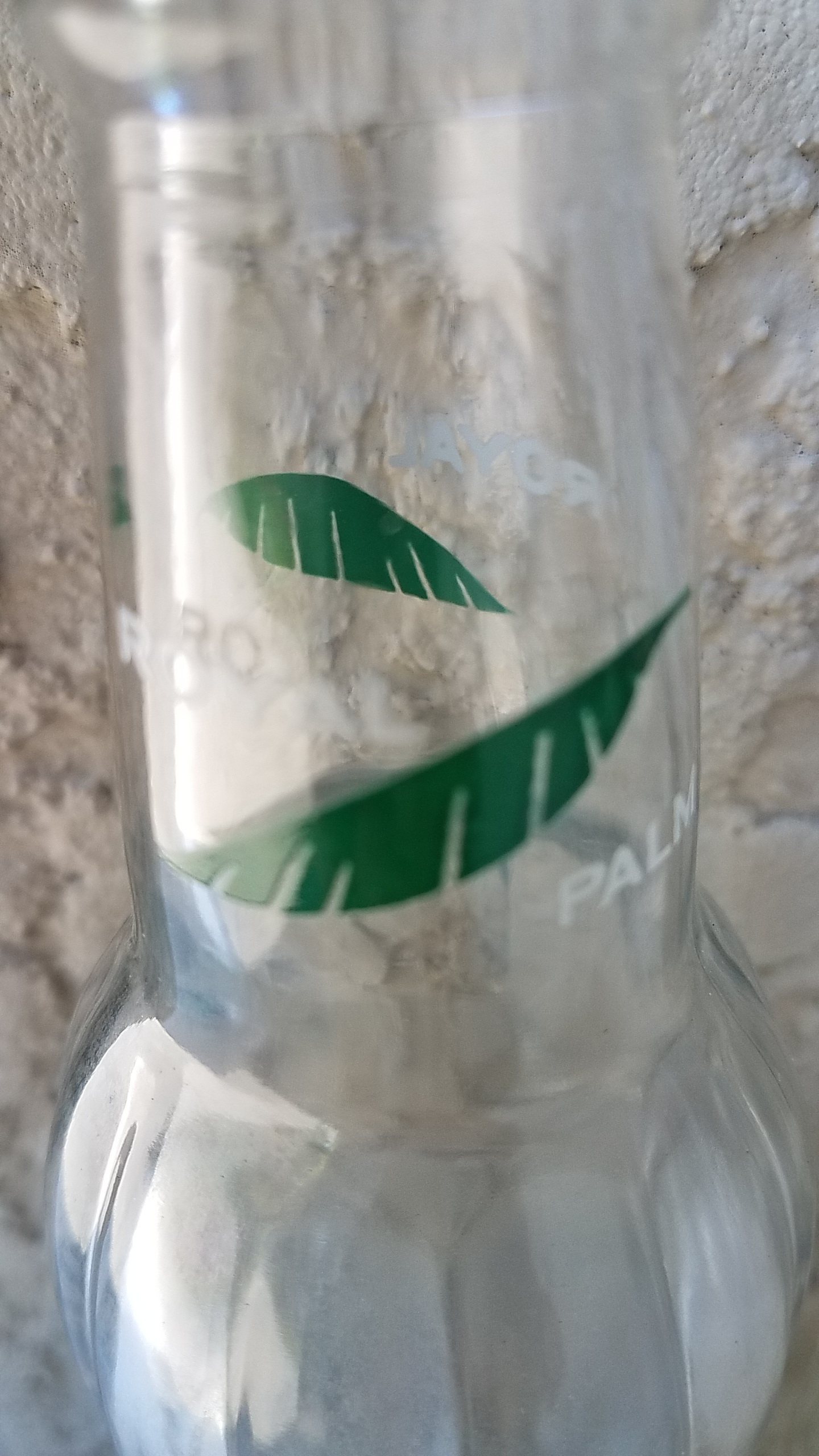 Palm branches on bottle neck