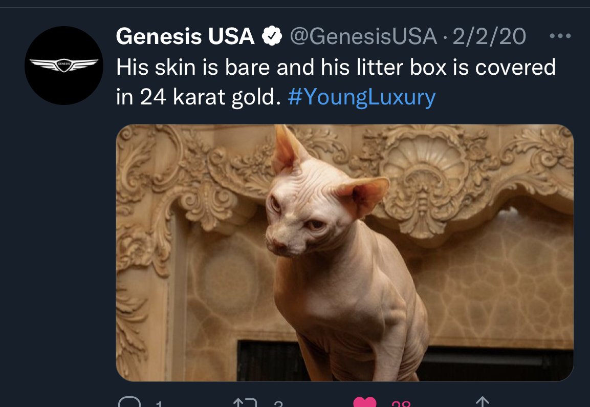 Unknown-8.jpeg