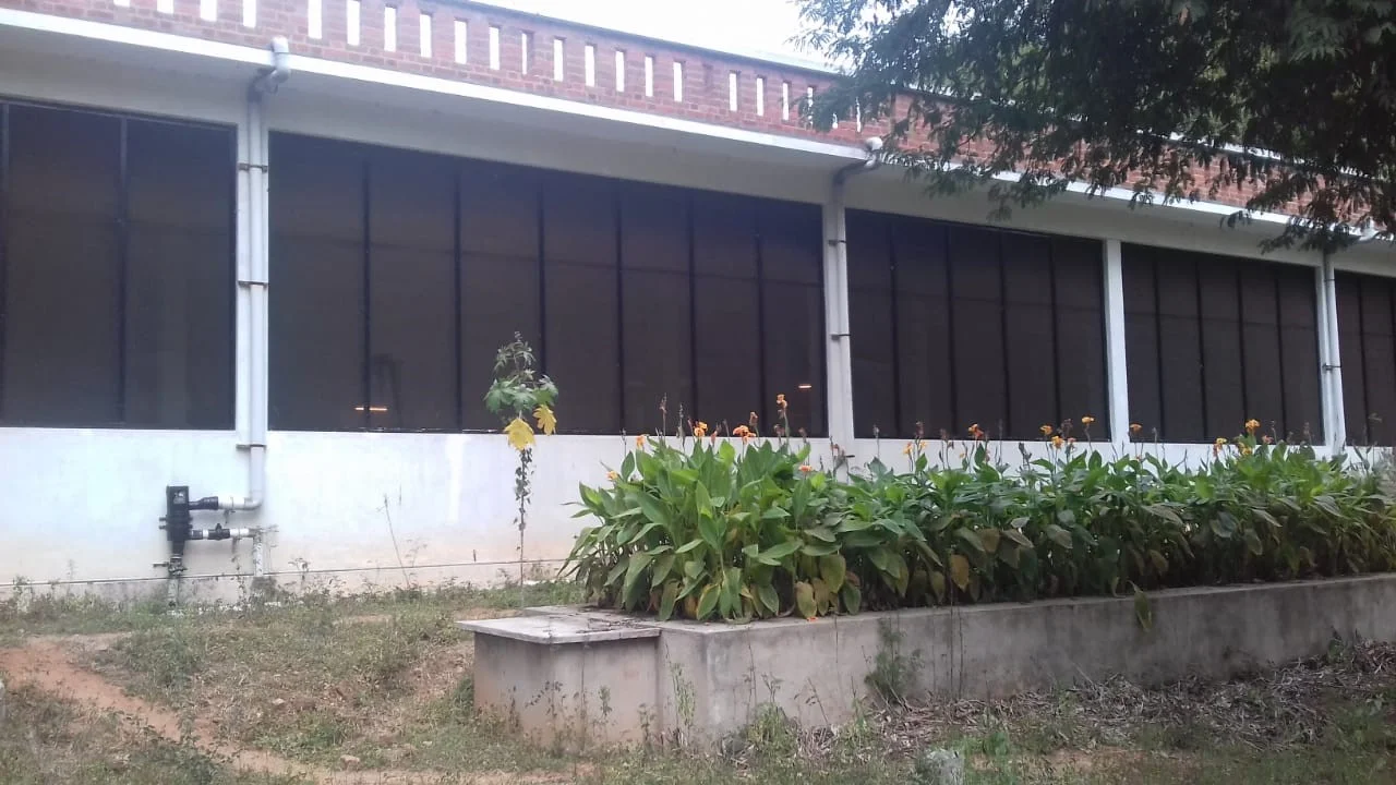 Roofwater collection system with filters