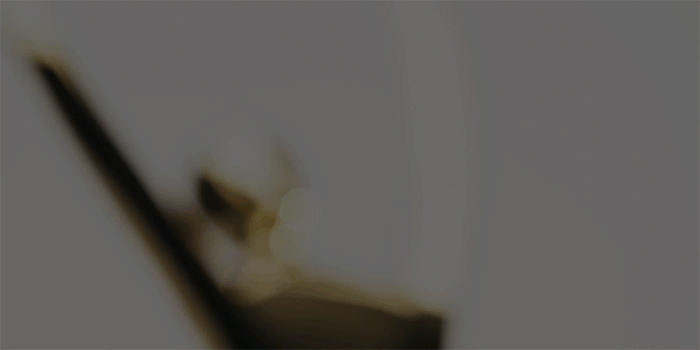 Communicator Award Winners.