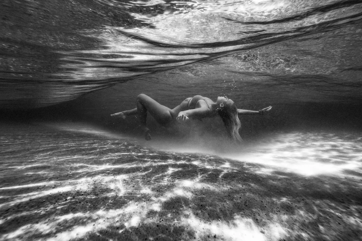 IMG_8487 copyfin2 copy.jpg